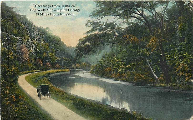 Jamaica Bog Walk Flat Bridge mailed 1929 Early T85293