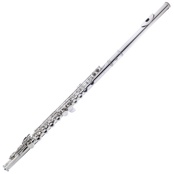 Cecilio 2SERIES FE 280N Nickel Plated C Flute $39TUNER