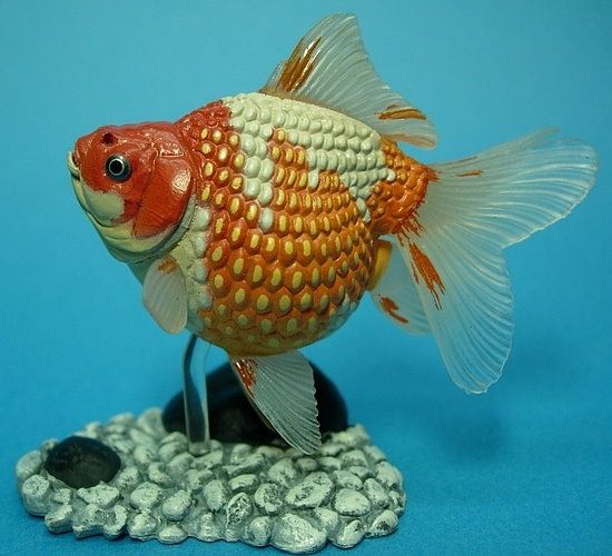  20New%20Figure/Aquarium%20Fish%20in%20Colour%20I/SP%20Pearlscale 3