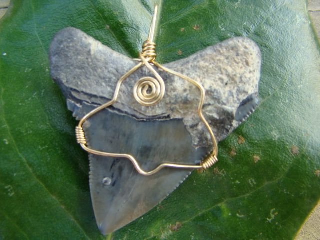 Quality Megalodon Shark Tooth Necklace Pendant 2 1 4