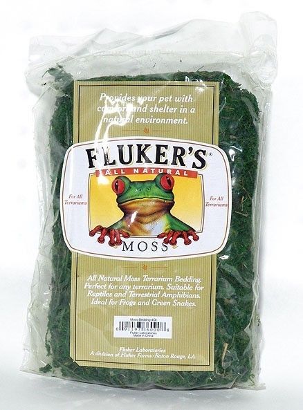 Fluker Green Moss Terrarium Reptile Bedding Small 4 Qt