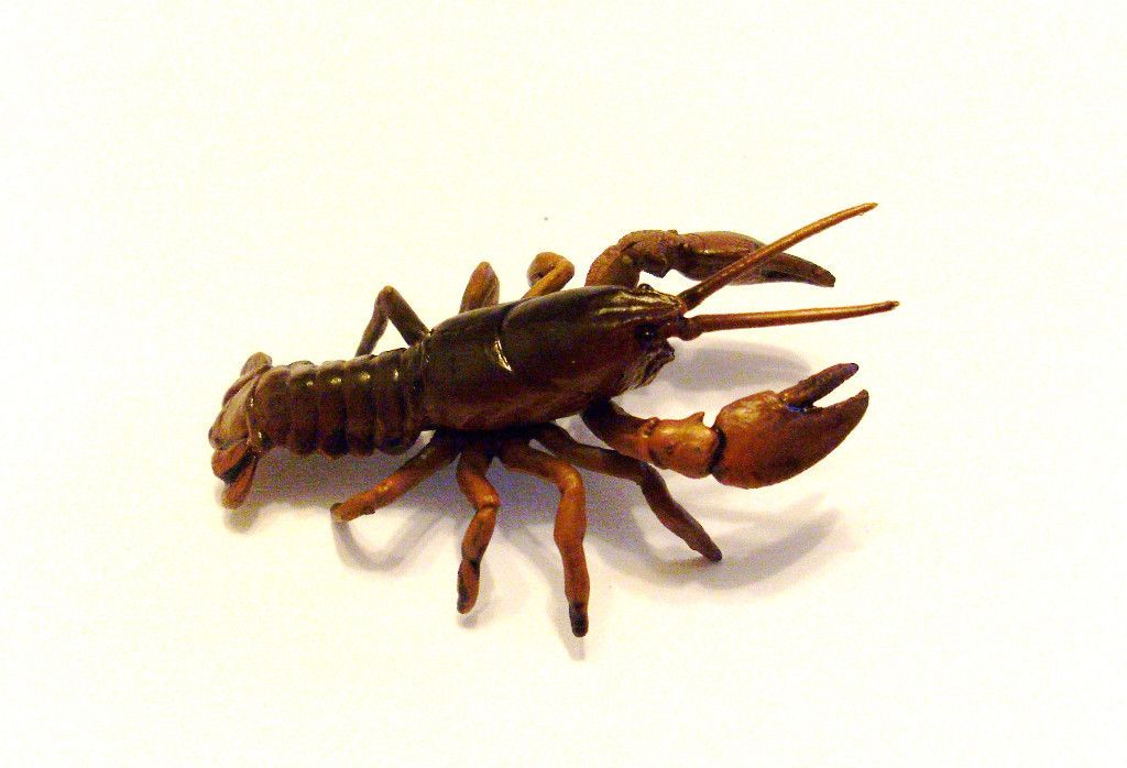  Toys Aquarium Japanese Freshwater Crayfish Lobster Figure RARE