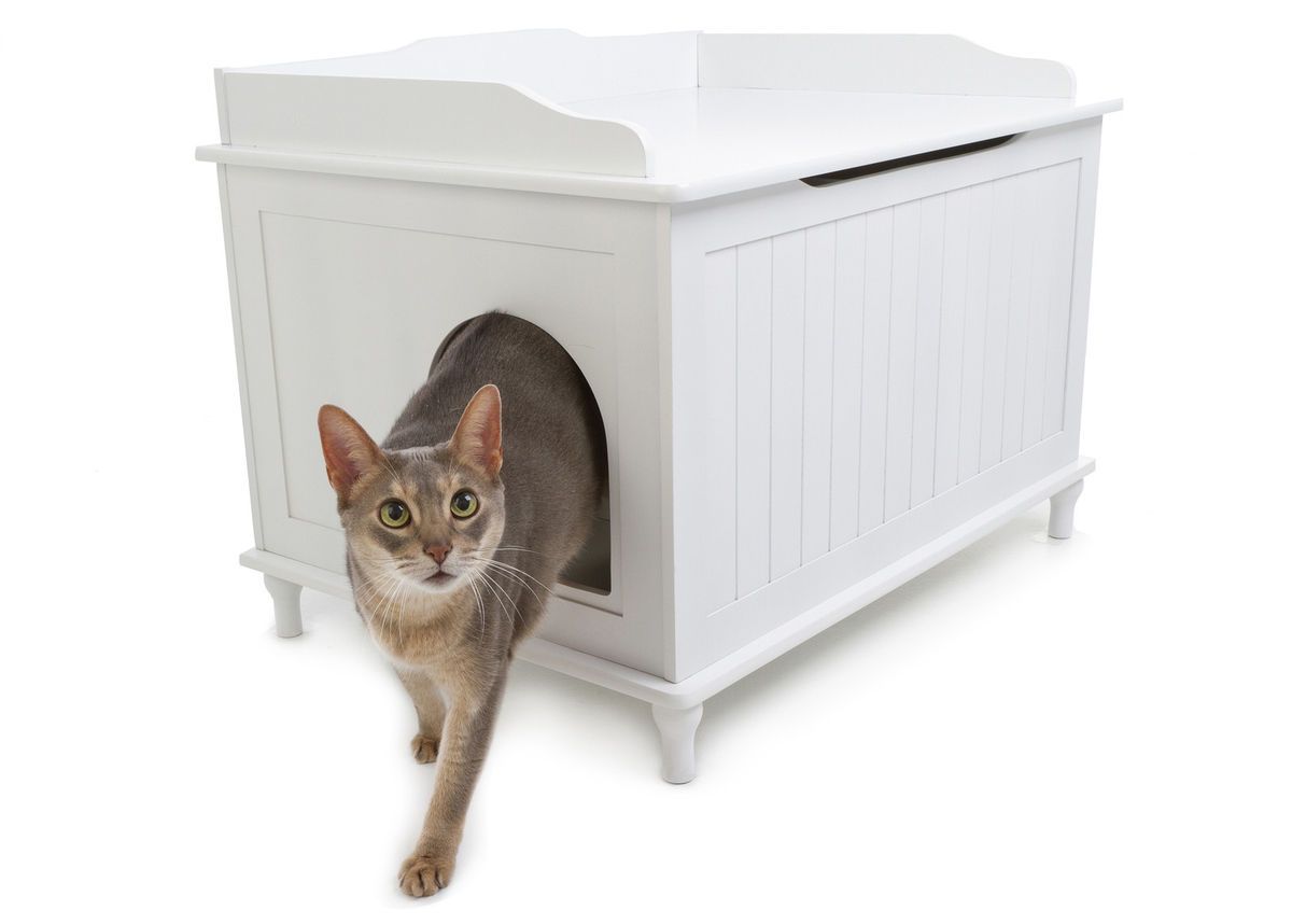 Designer Catbox Wood Litter Box Enclosure in Whitedcb w Cat Kitten