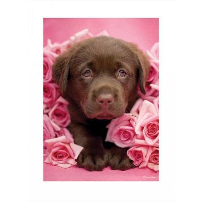 Rachael Hale Georgie Poster Dog Lab Puppy Cute Animal