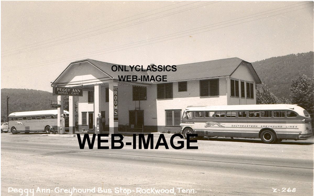 Greyhound Bus Texaco Gas Station Cafe TN Photo Roadside