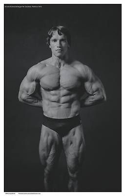 set of 2 bodybuilding posters of arnold schwarzenegger time left