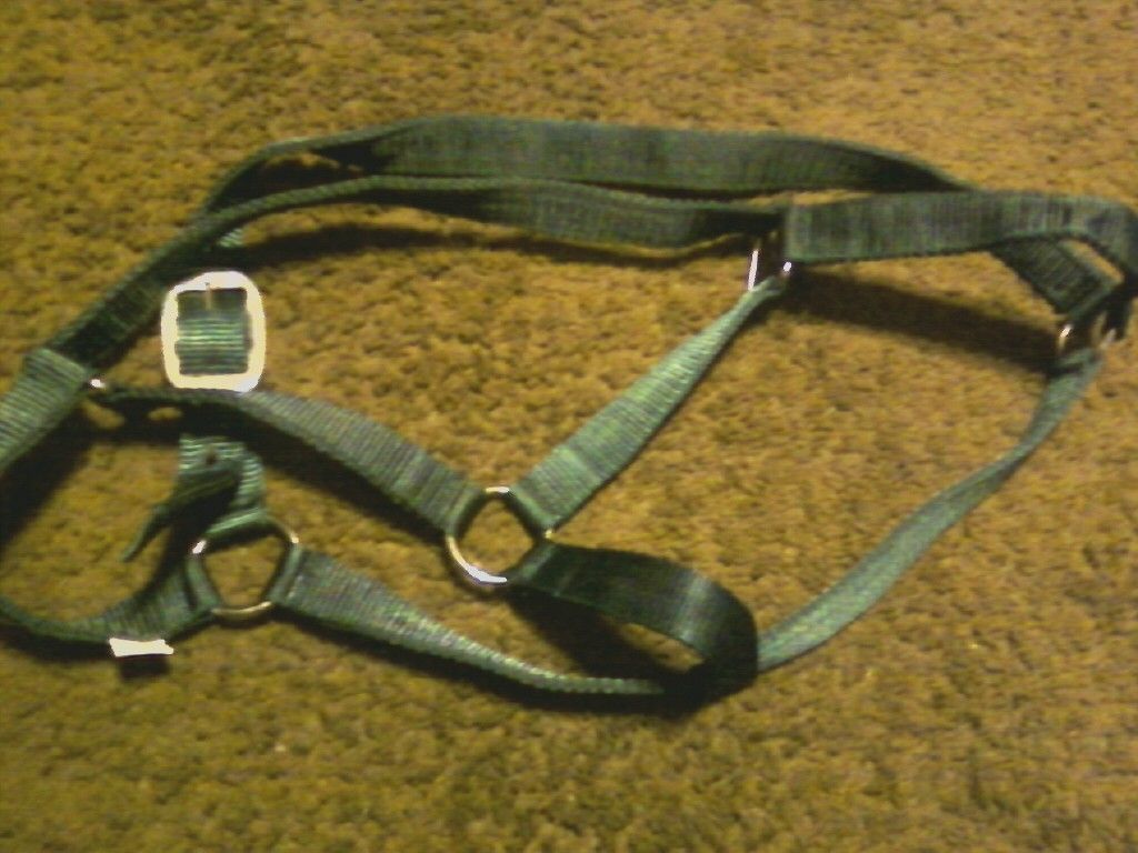  New Horse Halter Nylon