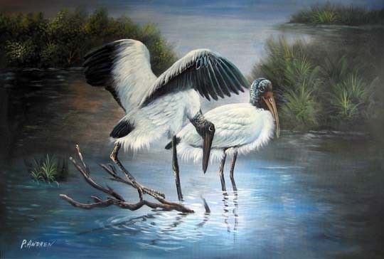 Wild Heron in Lake Genuine Oil Painting on Canvas 24x36