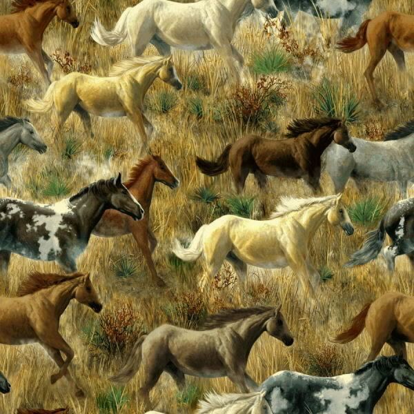 12x12 Sugartree Mustangs Horse 1S Scrapbooking Paper HB57 01731