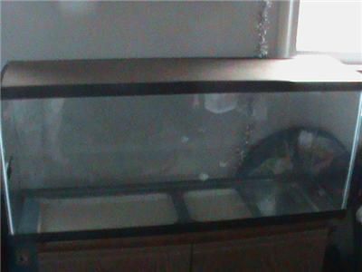 50 Gallon Terrarium Stand with Storage 3 Florescent Lites EXTRAS