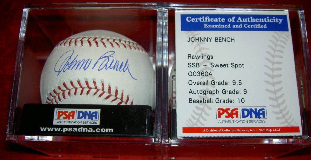 Johnny Bench Autograph Signed Baseball Ball Encapsulated Phillies PSA DNA 9 5  