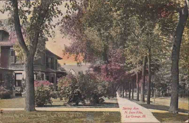 L937 La Grange IL Illinois Spring Elm 1908 C R Childs