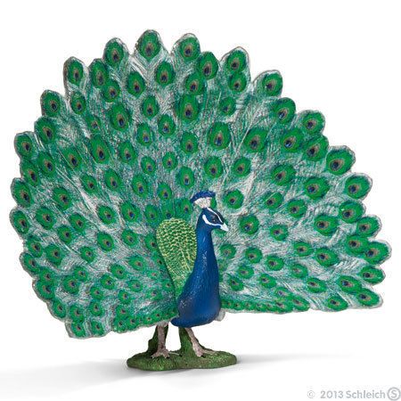 Peacock by Schleich New 2013 Bird 13728