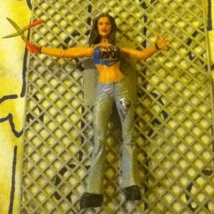 WWE Wwf Diva Lita Signed Rare 2003 Trish Cena Kane hhh matt jeff tna