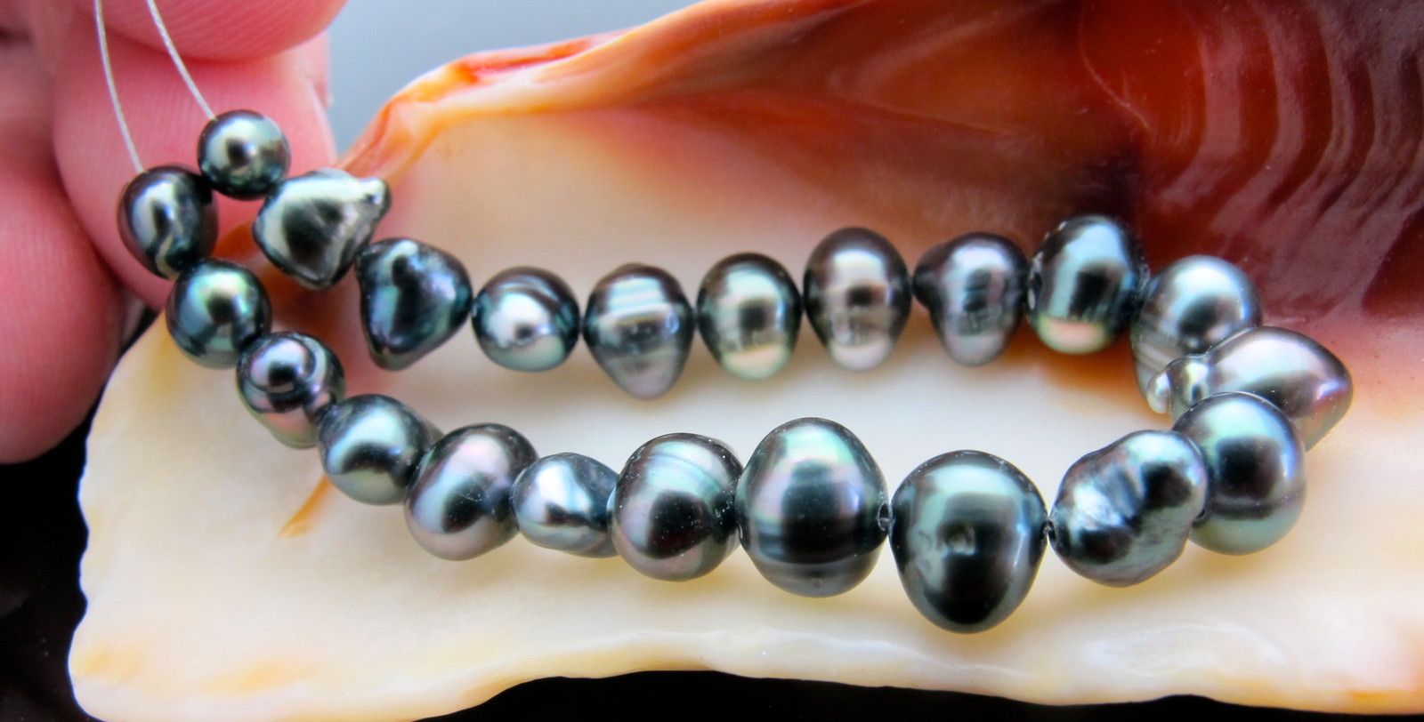 Genuine South Sea Tahitian All NACRE Keishi Pearls, NO IMPLANT~