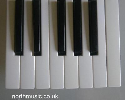 Korg i3 Replacement Key