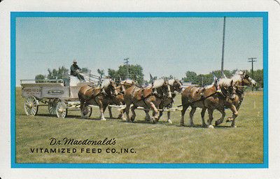 Vintage Swap/Playing Cards   1 Single   Feed advert with Horses and