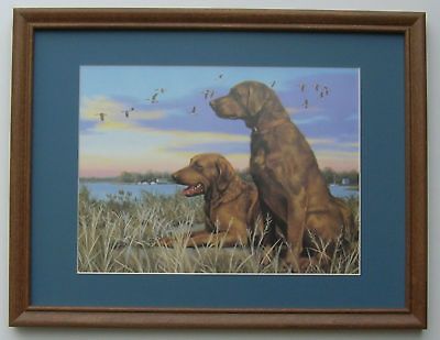 Chesapeake Bay Retrievers Framed Picture Art