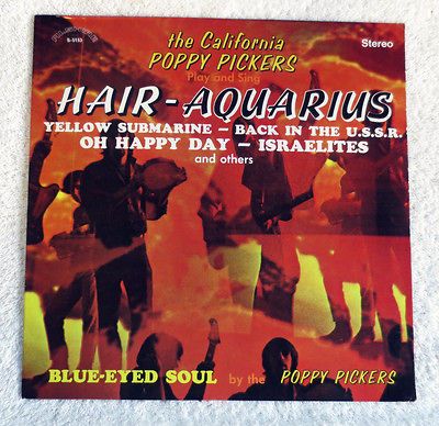 California Poppy Pickers   Hair Aquarius   Alshire S 5153 LP Yellow