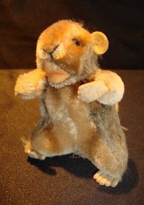 Cute Old 1950s Estate Steiff Beaver 3 1/2