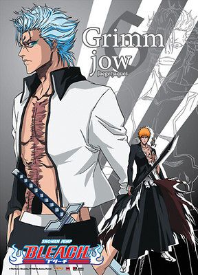 Wall Scroll BLEACH NEW Grimmjow Ichigo Anime Fabric Art Cosplay