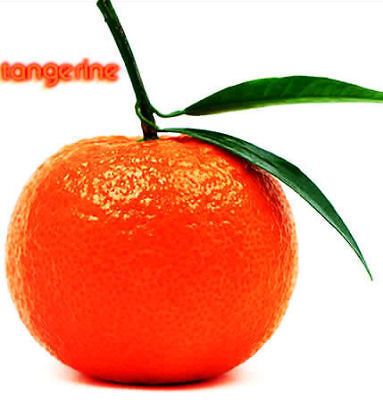 20 TANGERINE Mandarin Orange Citrus Fruit Tree Seeds
