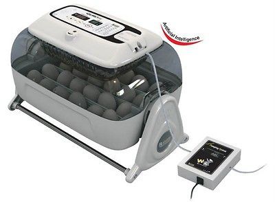 PROFESSIONAL PARROT EGG INCUBATOR Egg Candler