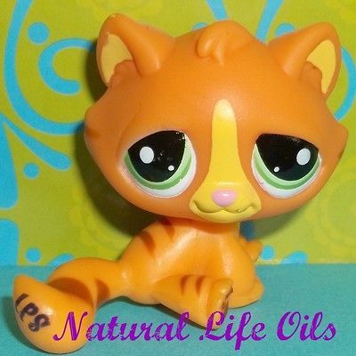 Pet Shop~#1834 ORANGE STRIPED BENGAL TIGER KITTY CAT~Z340 LPS Rare