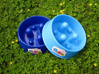 Dog Cat Pet Bowl EAT SLOW FEED BOWL SKID STOP CHEW FEEDERS DISHES