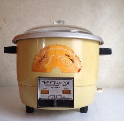 The Steam Pot Natural Steamer Cooker by Van Wyck, Vintage Electric