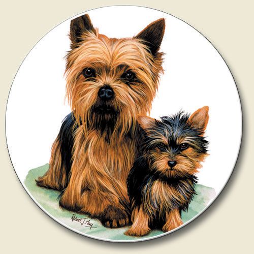 YORKIE 2CT CAR COASTERS