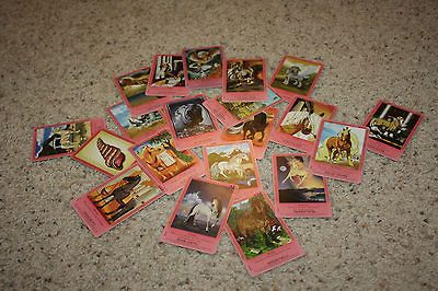 Random Lot of Bella Sara Trading Cards includes Foil Zephyros Card