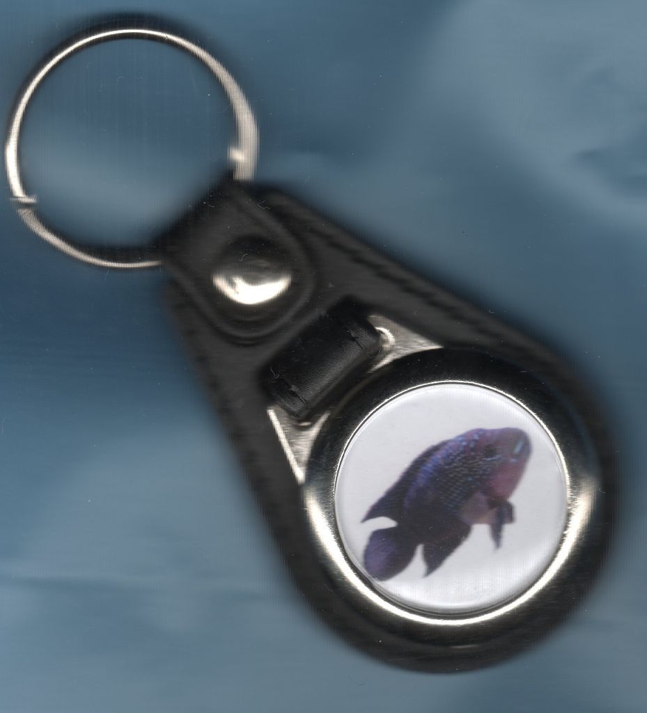 KEYRING JACK DEMPSEY CICHLID CICHLIDS TROPICAL FISH MDK446