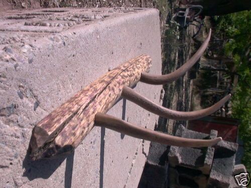 RUSTIC BEAVER LOG DEER ANTLER COAT HAT RACK LODGE CABIN