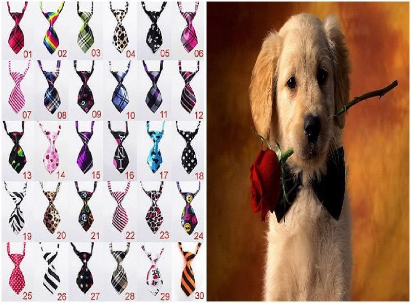 Pet Dog Cat Poodles Teddy boys kids handsome bow tie Necktie clothes