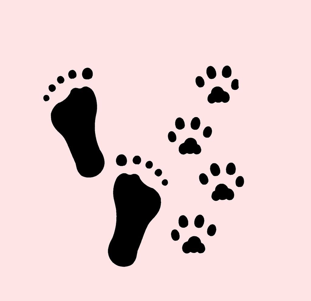 MINI FOOTPRINTS STENCIL FEET PRINTS PAWS PAW STENCILS CRAFT TEMPLATE