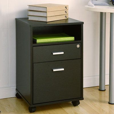 Terra Matte Wood Veneer Finish File Storage Cabinet