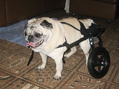 DOG CART WHEELCHAIR FOR CORGIS BASSETS BULLDOGS PUGS DOXIES