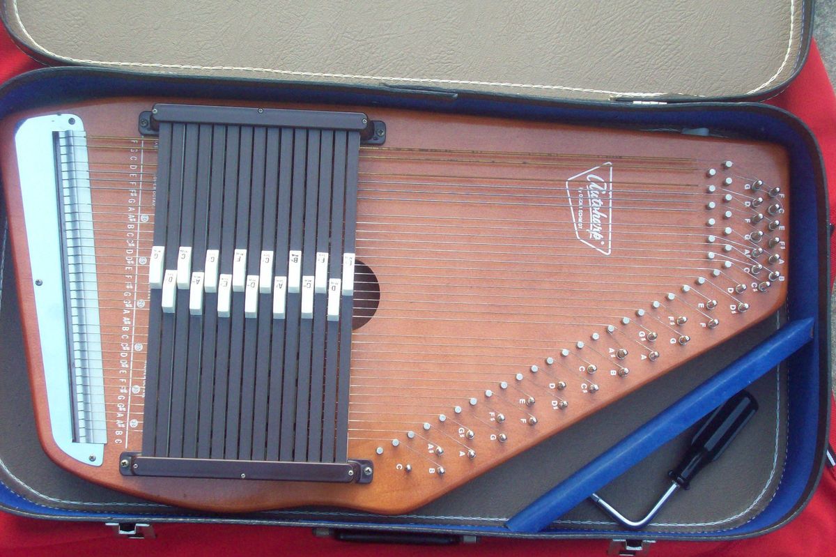 Oscar Schmidt Vintage Autoharp String Case Nice